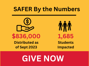 SAFER By The Numbers - 1